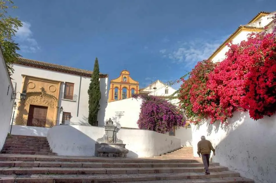 Perla 2 CPlace Ecológico Córdoba España